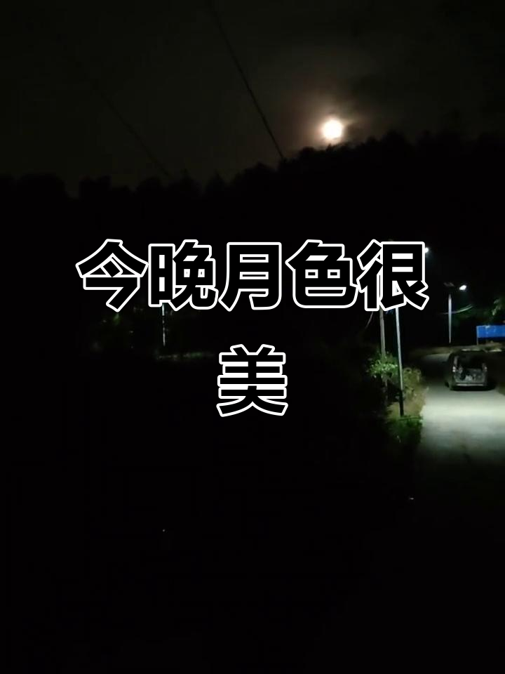 月色下的宁静夜晚,钓鱼与浪漫同行