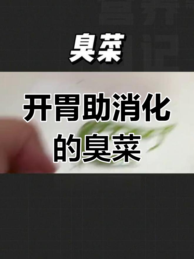 云南臭菜:独特风味与营养价值
