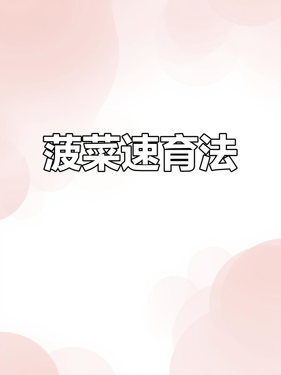 菠菜快速育苗技巧,轻松掌握!