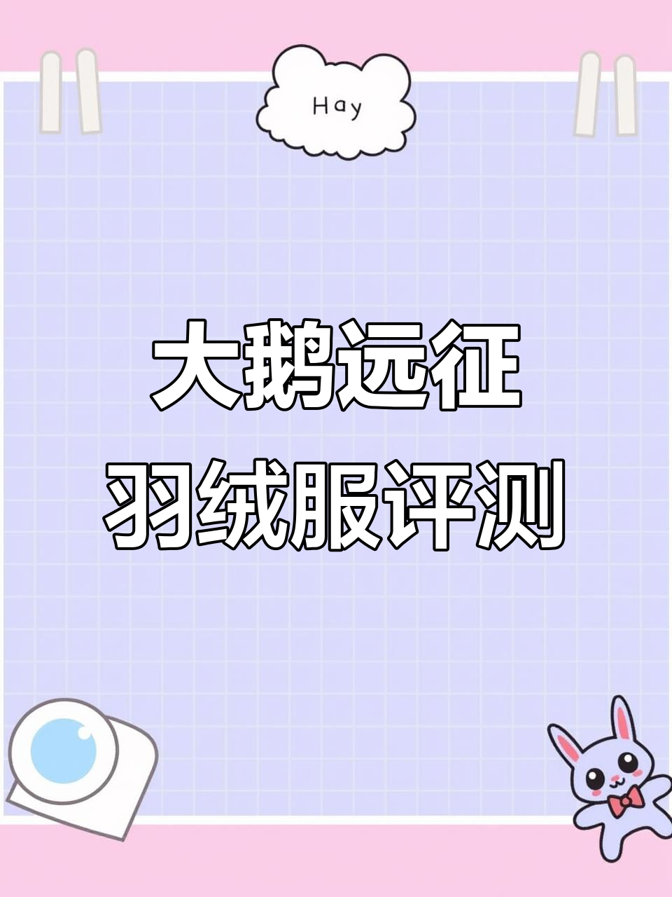 藏青色大鹅远征羽绒服品质揭秘,真狼毛领与立体刺绣细节解析