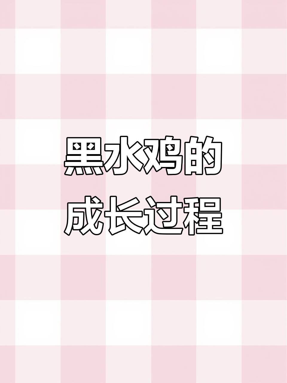 黑水鸡成长记:从雏鸟到飞行能手,全程揭秘