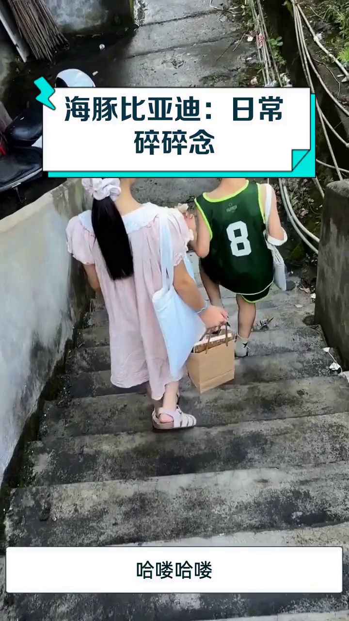 海豚比亚迪:日常碎碎念