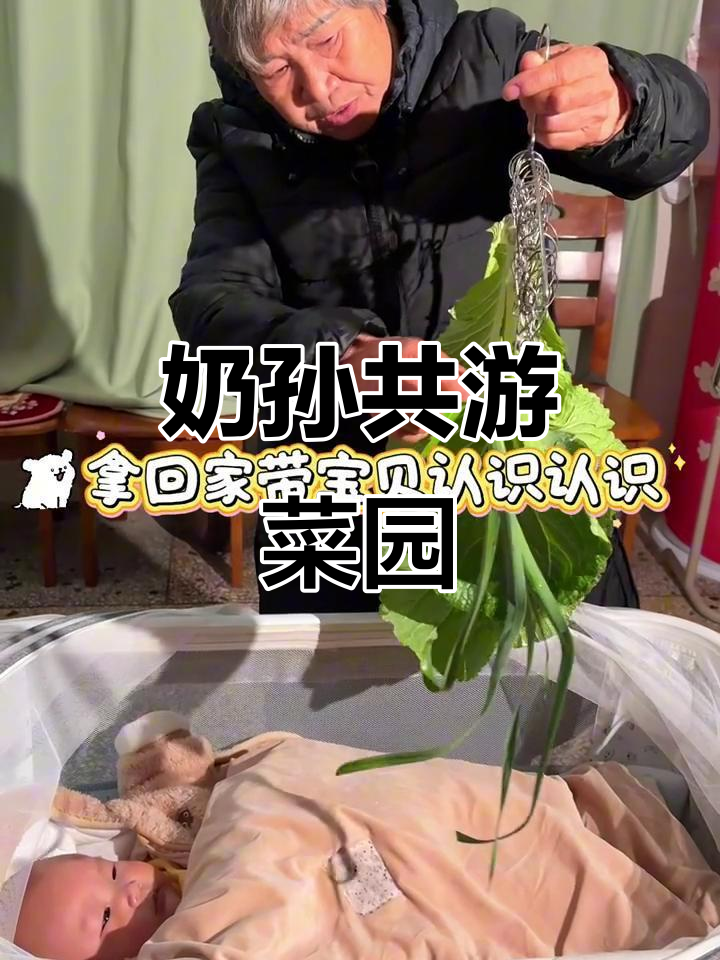 72岁奶奶带宝宝探索菜园，认识各种蔬菜