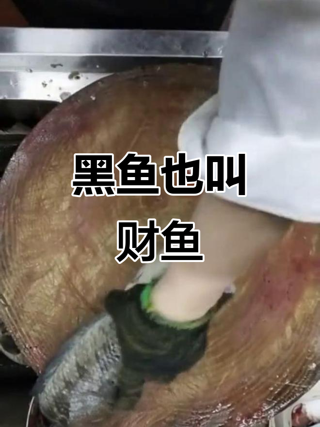 财鱼,黑鱼的秘密你知道吗?