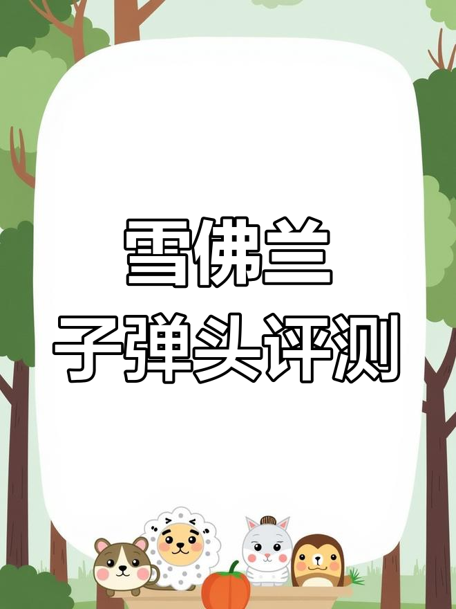 雪佛兰子弹头与奥兹莫比尔面包车对比:驾驶体验大不同