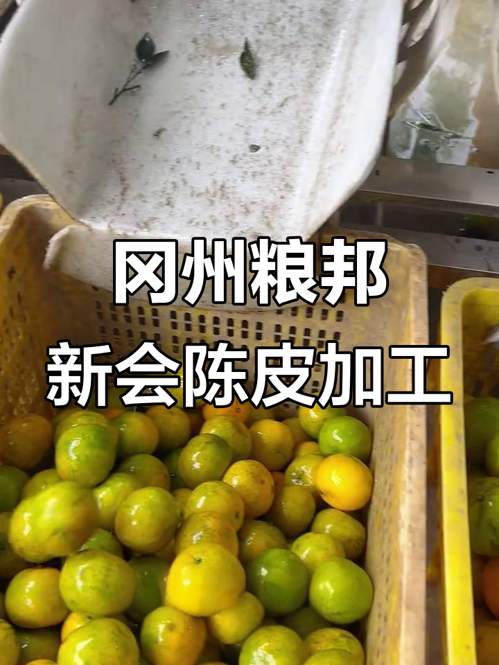 新会陈皮加工,选冈州粮邦,质量有保障