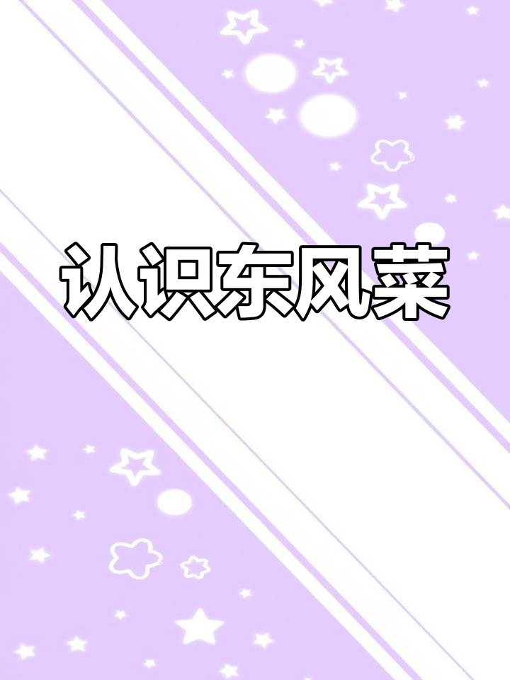 草药知识:东风菜的奥秘