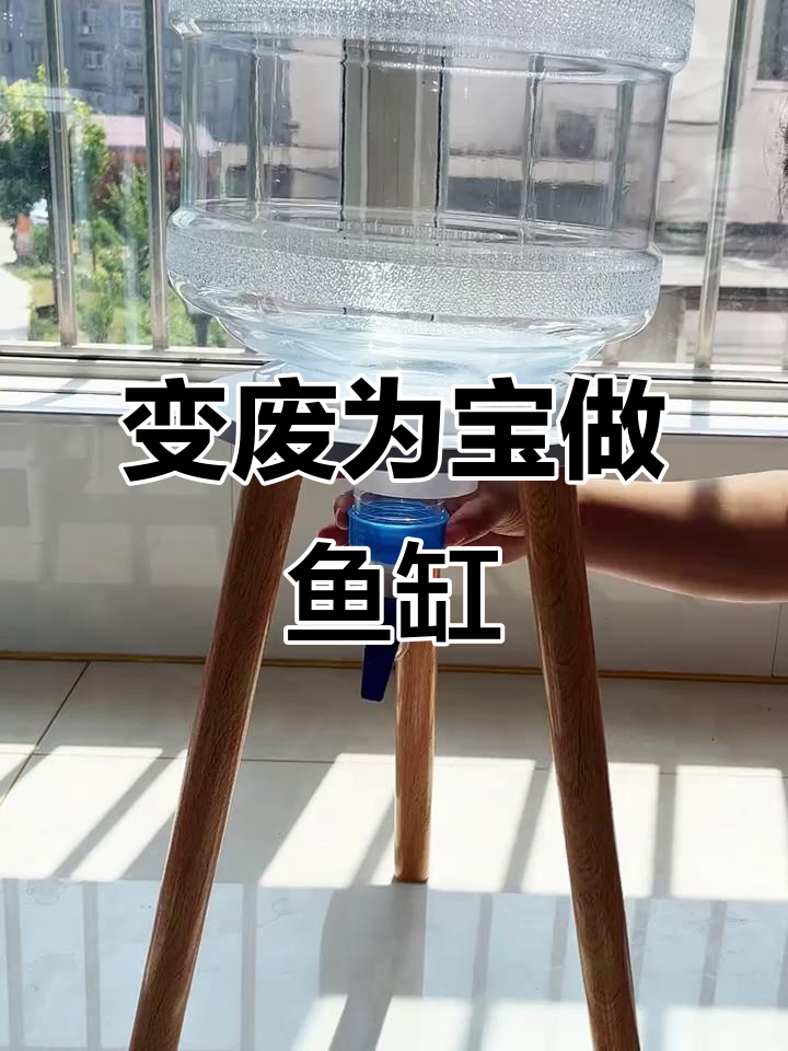 矿泉水桶变鱼缸,简单又解压的养鱼新体验