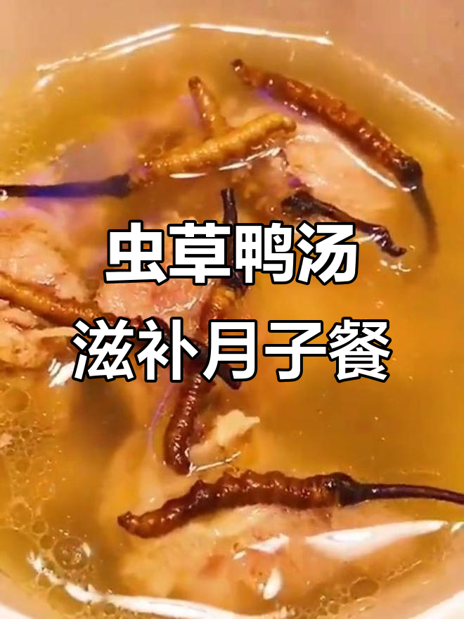 产后恢复必吃!虫草鸭汤,滋补强腰,清热健脾