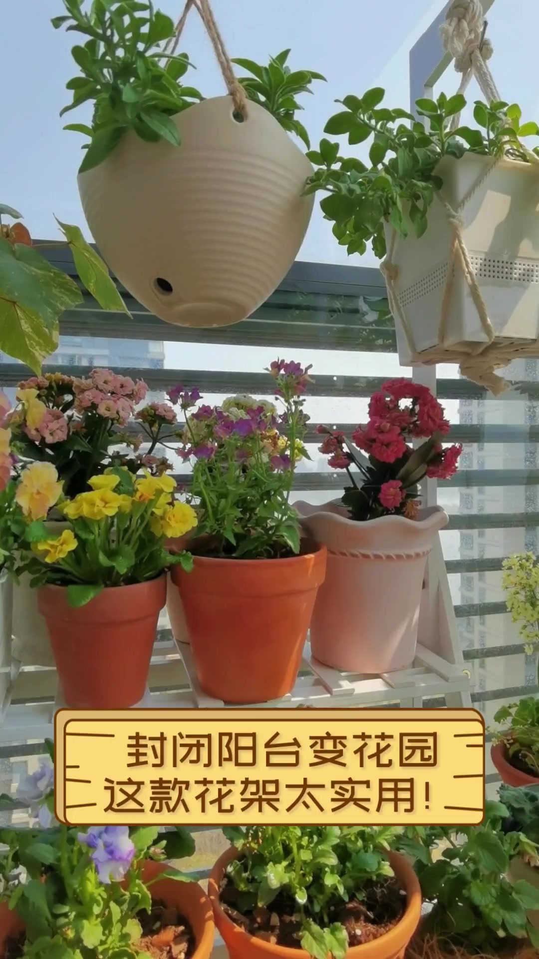 封闭阳台变花园,这款花架太实用!