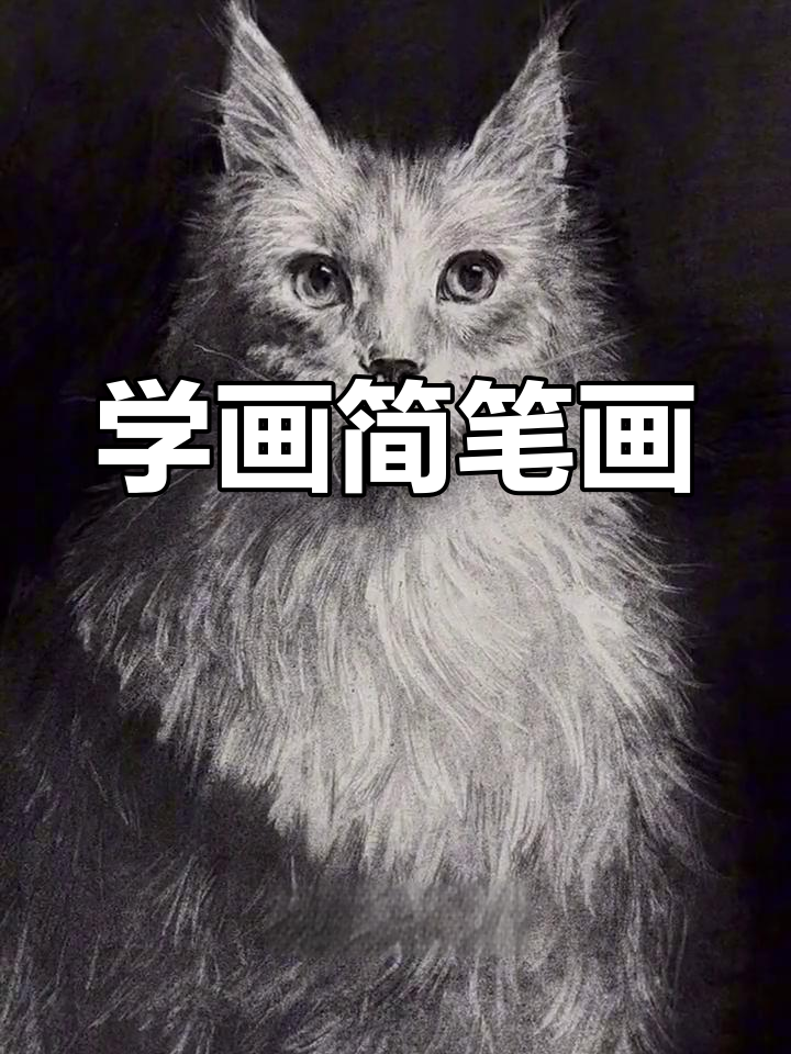 素描金鱼教程,慢速绘制技巧