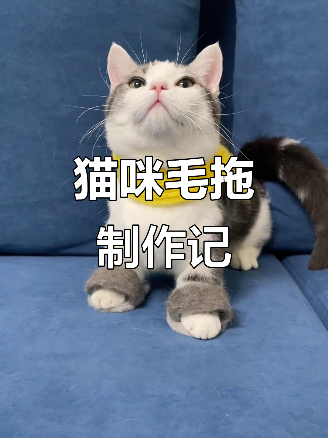 用猫毛做拖鞋,泡芙借我毛毛超可爱