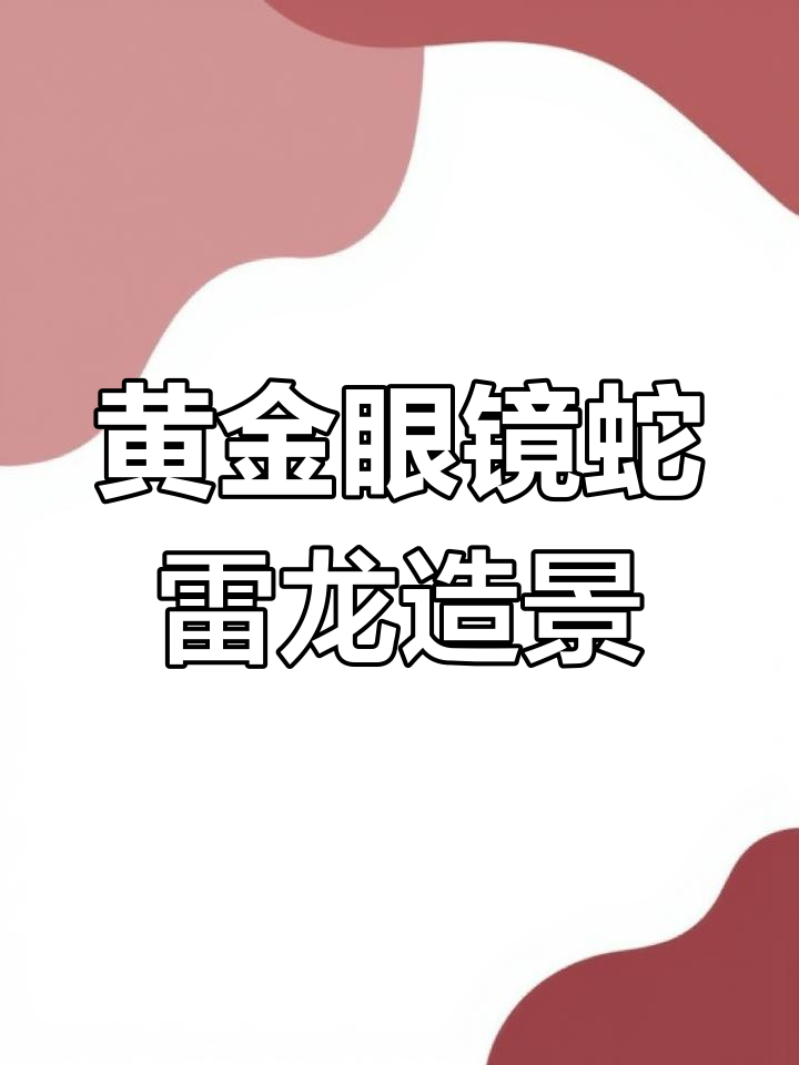 黄金眼镜蛇雷龙鱼缸造景指南
