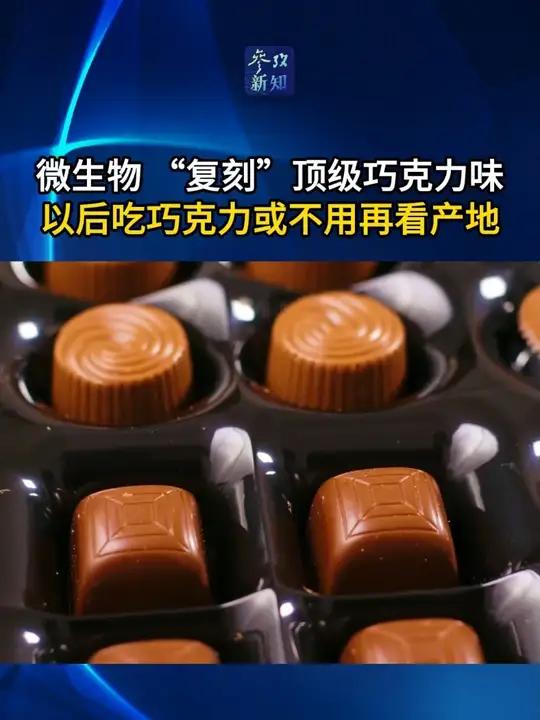 微生物 “复刻”顶级巧克力味 以后吃巧克力或不用再看产地