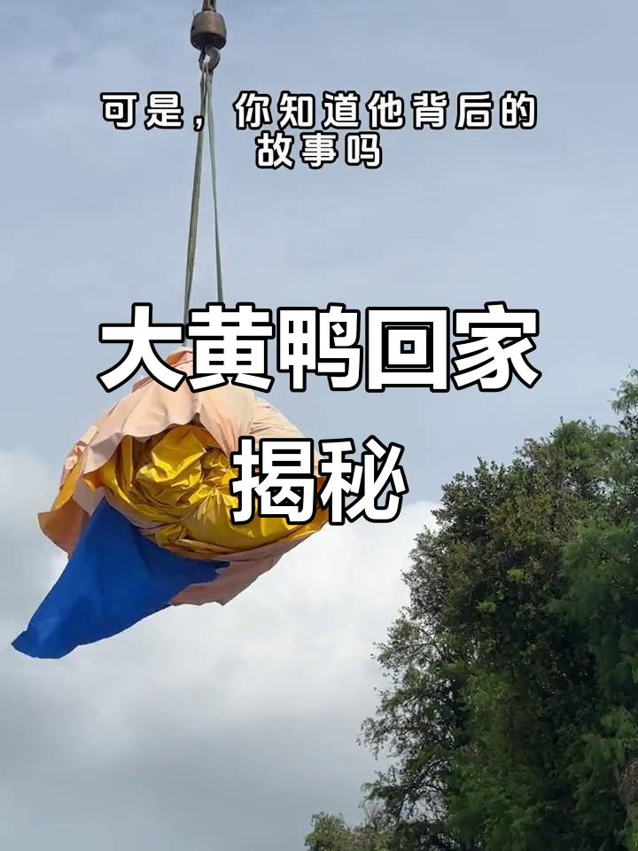 香港大黄鸭13岁回归,背后隐藏的故事你知道吗?