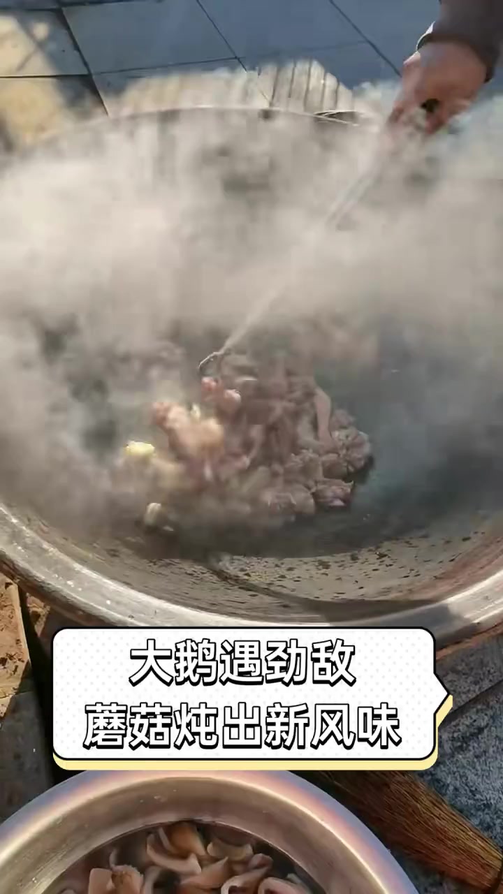 大鹅遇劲敌,蘑菇炖出新风味