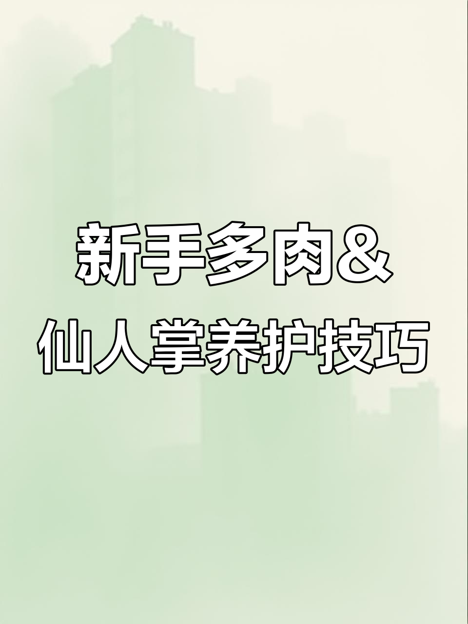 多肉仙人掌养护全攻略:从光照到浇水,轻松搞定