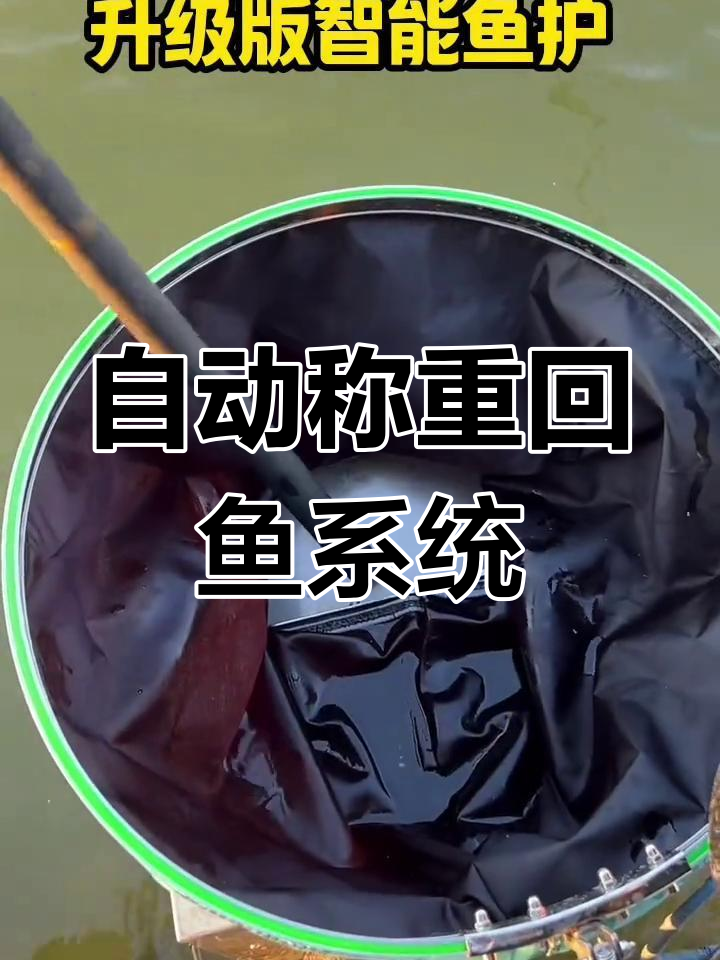 智能鱼护升级,防压秤、自动称重功能更强大