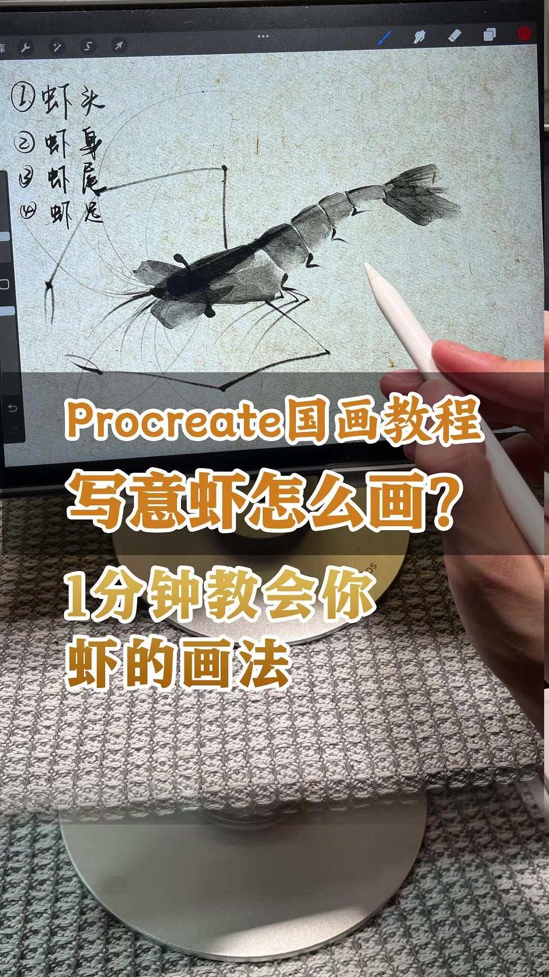 procreate教程|1分钟教会你水墨虾的画法