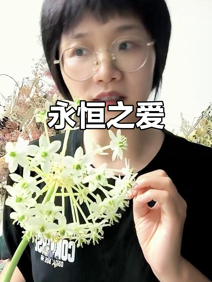 天鹅绒花，象征永恒与圣洁，养护需保持干燥