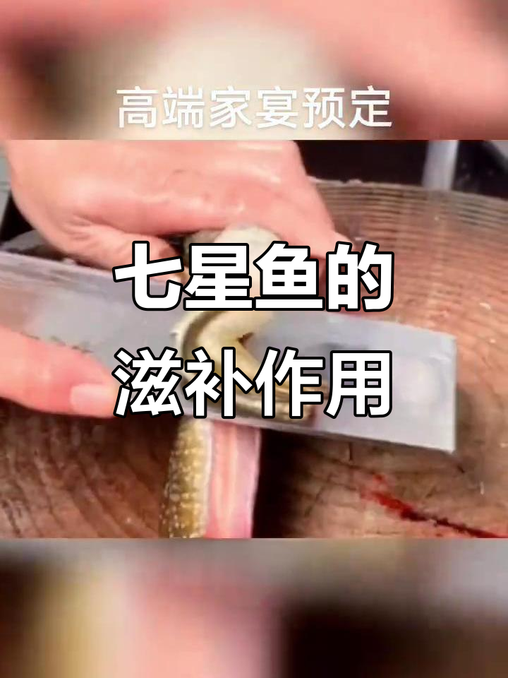 七星鱼的药膳功效,滋补身体、强筋健骨