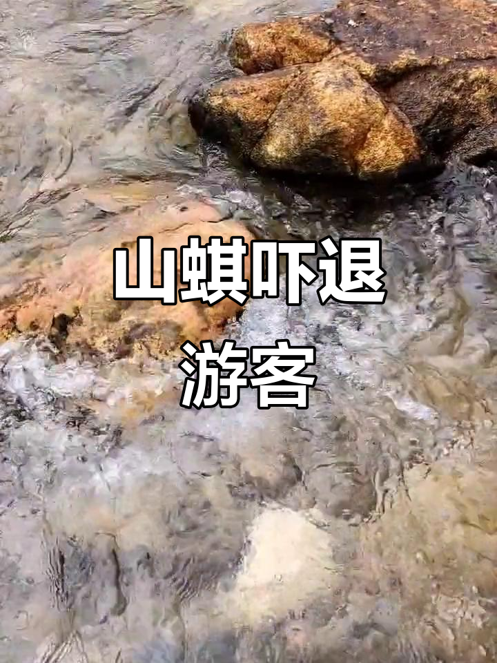 贵子马瀑布太可怕,山蜞吸血让人胆寒,只好在小河戏水避雨