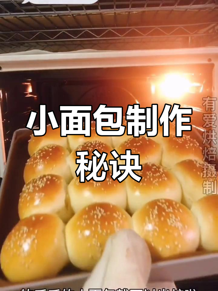 柔软牛奶奶香,小餐包轻松做!
