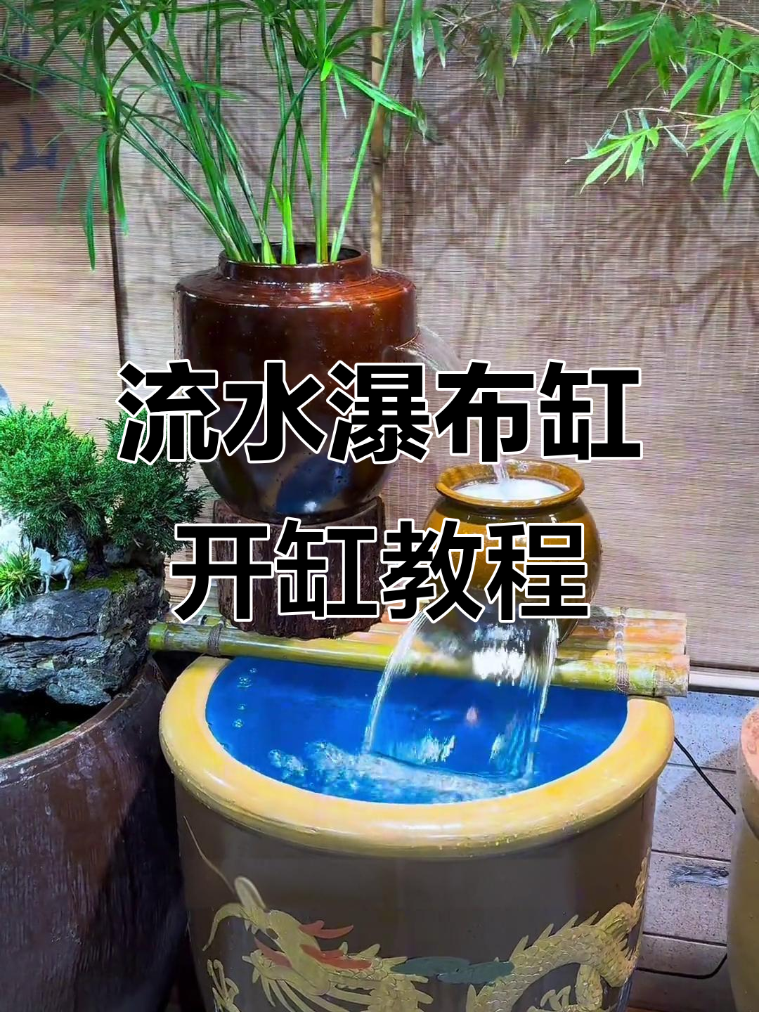 打造流水瀑布生态缸，详细开缸教程来啦！