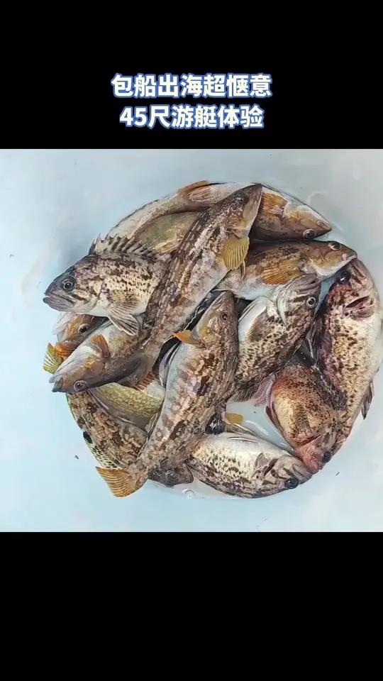 天天海乐45尺三层游艇包船出海海钓观光,2199元享4小时,赠蒸汽海鲜酒水,有KTV,工具