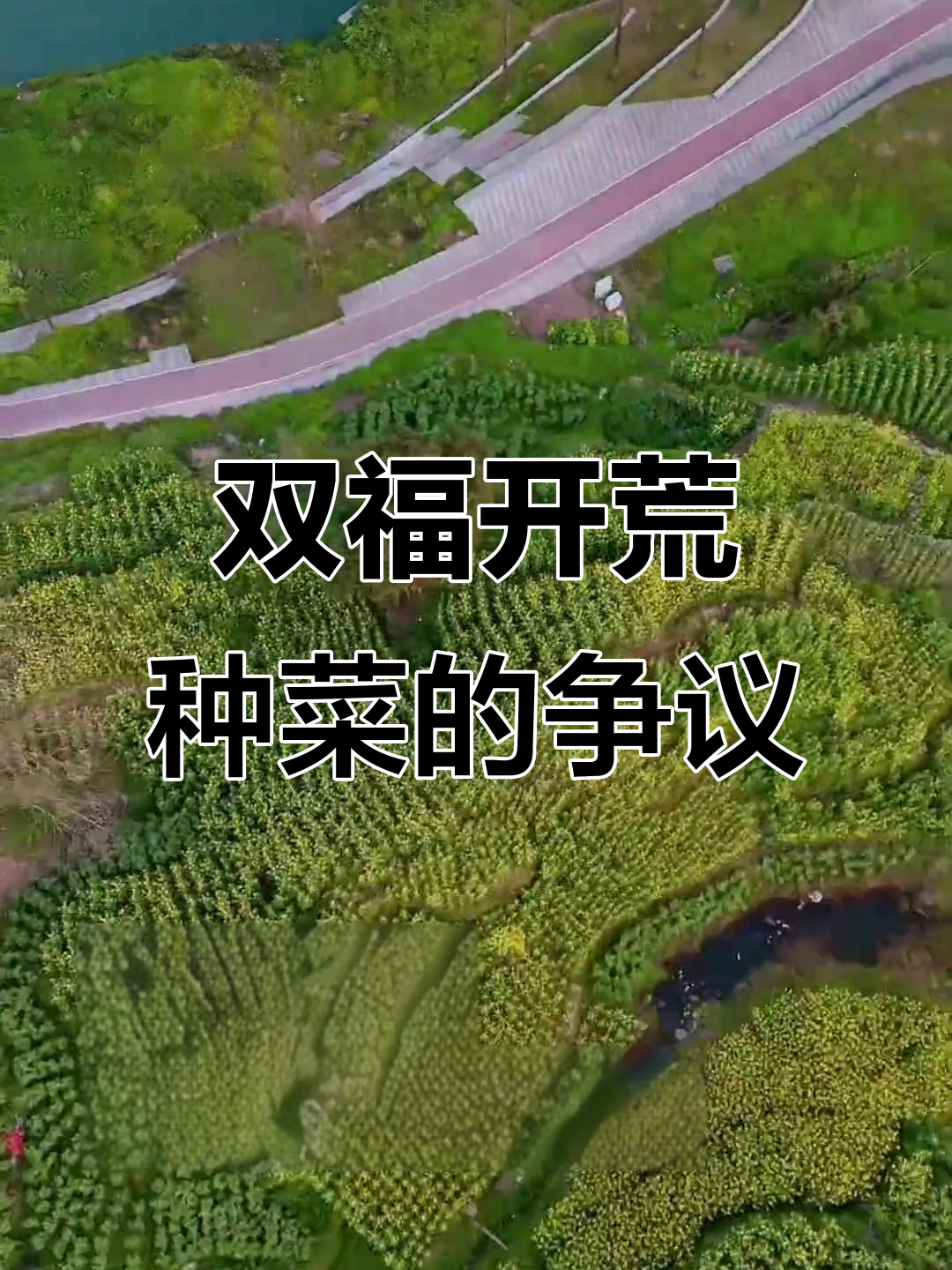 双福新区开荒地变菜园,城市形象如何?