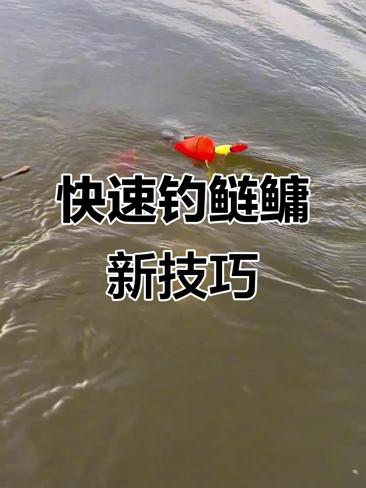 2024年新型钓法揭秘，快速捕捉大花鲢的秘诀