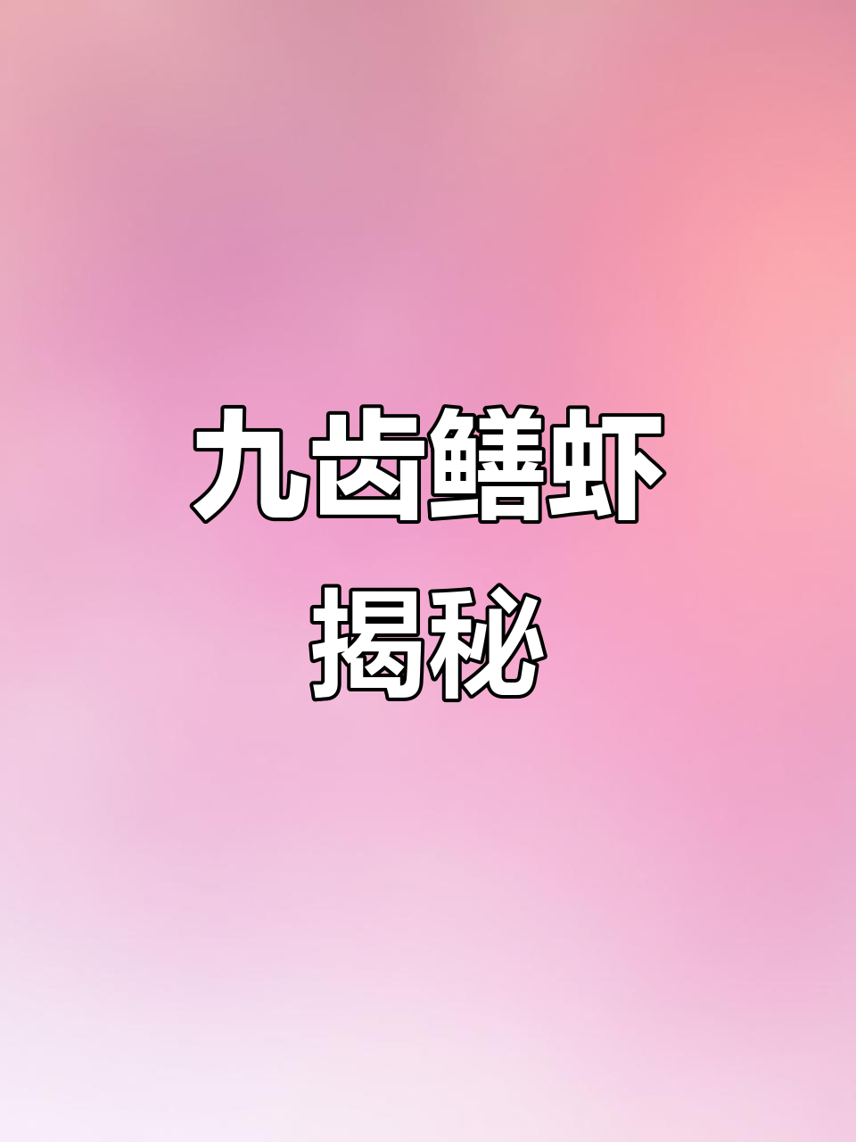 九齿扇虾:像琵琶头一样的奇特大虾,肉质紧实却不易得