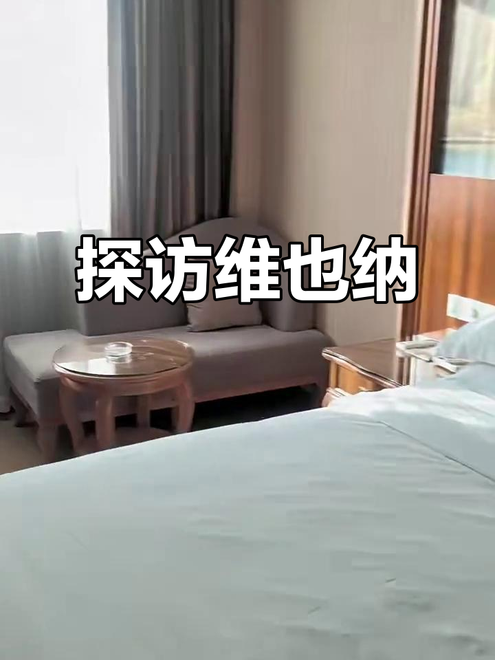 2024年9月4日维也纳音乐艺术融合