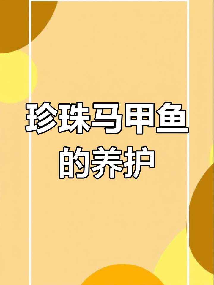 珍珠马甲鱼饲养指南:适宜环境与喂食技巧