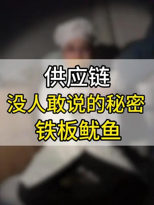 揭秘铁板鱿鱼供应链背后的秘密