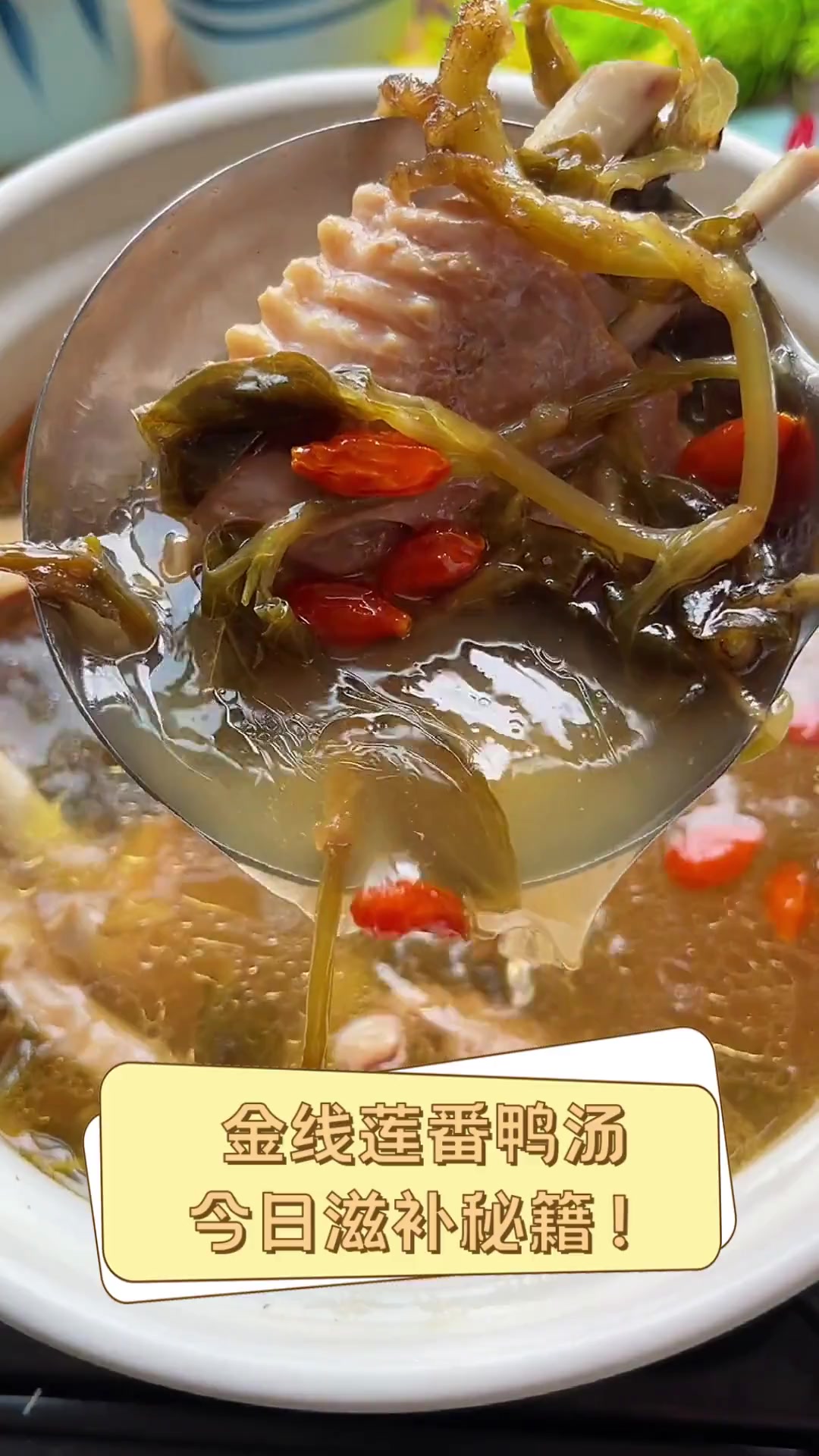 金线莲番鸭汤,今日滋补秘籍!