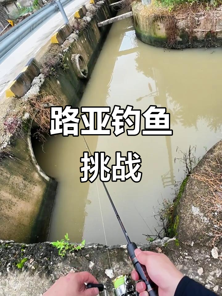 广东臭水沟钓雷龙,意外连连!