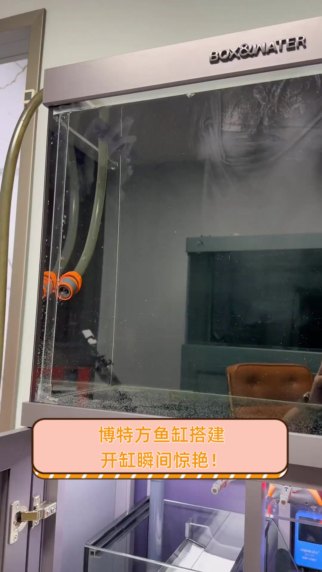 博特方鱼缸搭建,开缸瞬间惊艳!