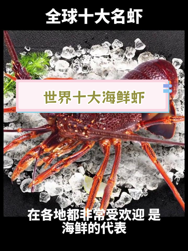 全球最受欢迎的十大名虾