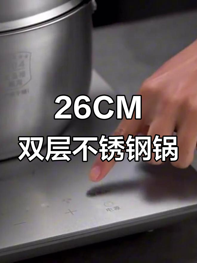 双层26CM不锈钢电磁炉,炖汤蒸包子大容量家用锅具