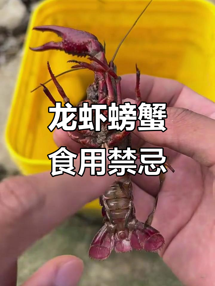 刚死的龙虾螃蟹别吃,吃了可能会拉肚子!