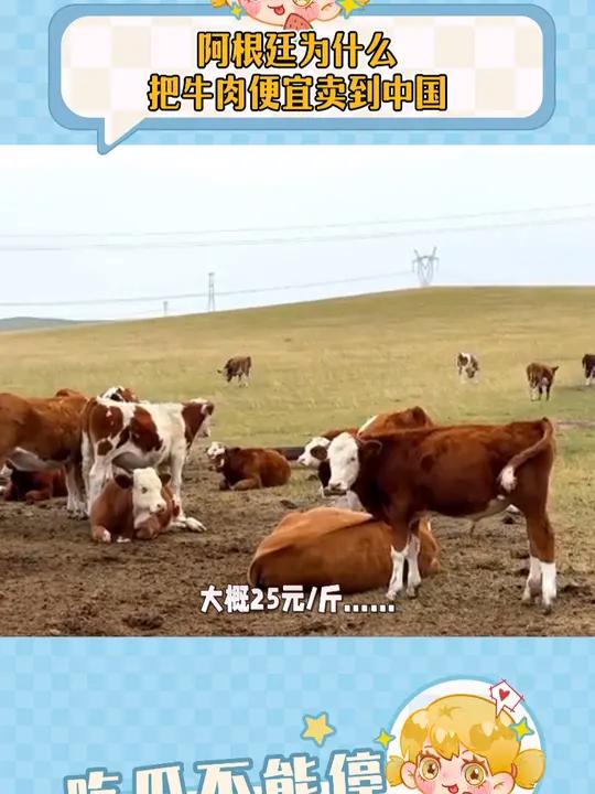 阿根廷为什么把牛肉便宜卖到中国