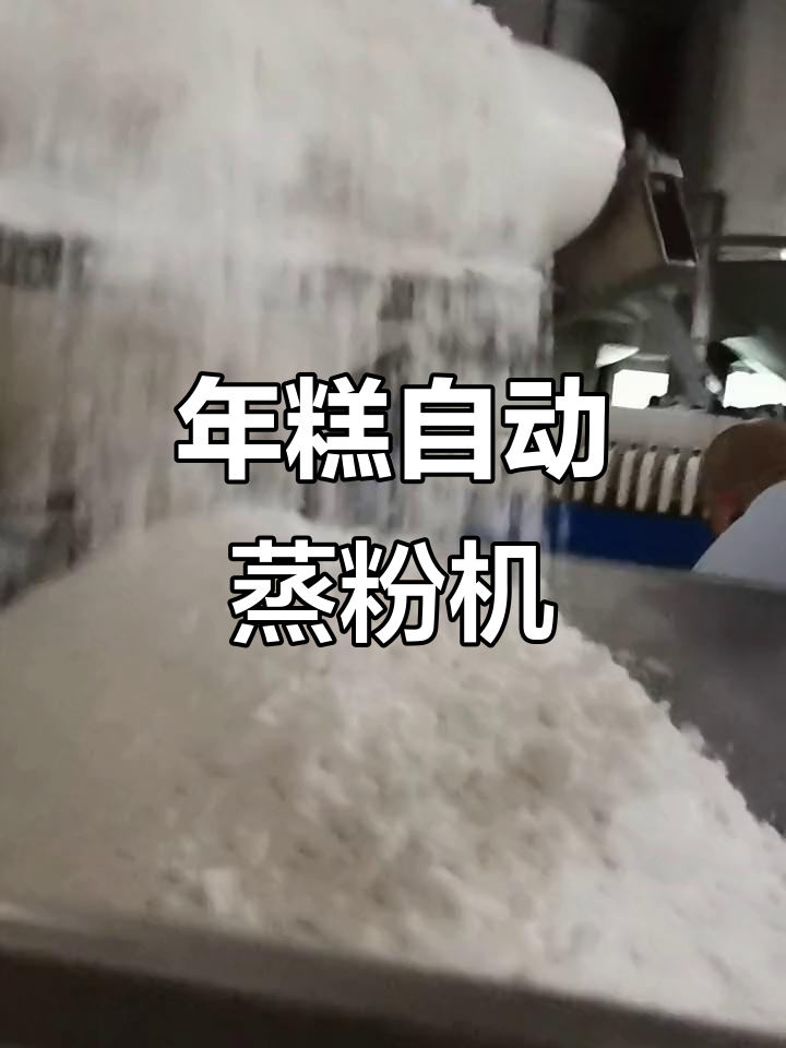 自动蒸粉机,轻松做年糕