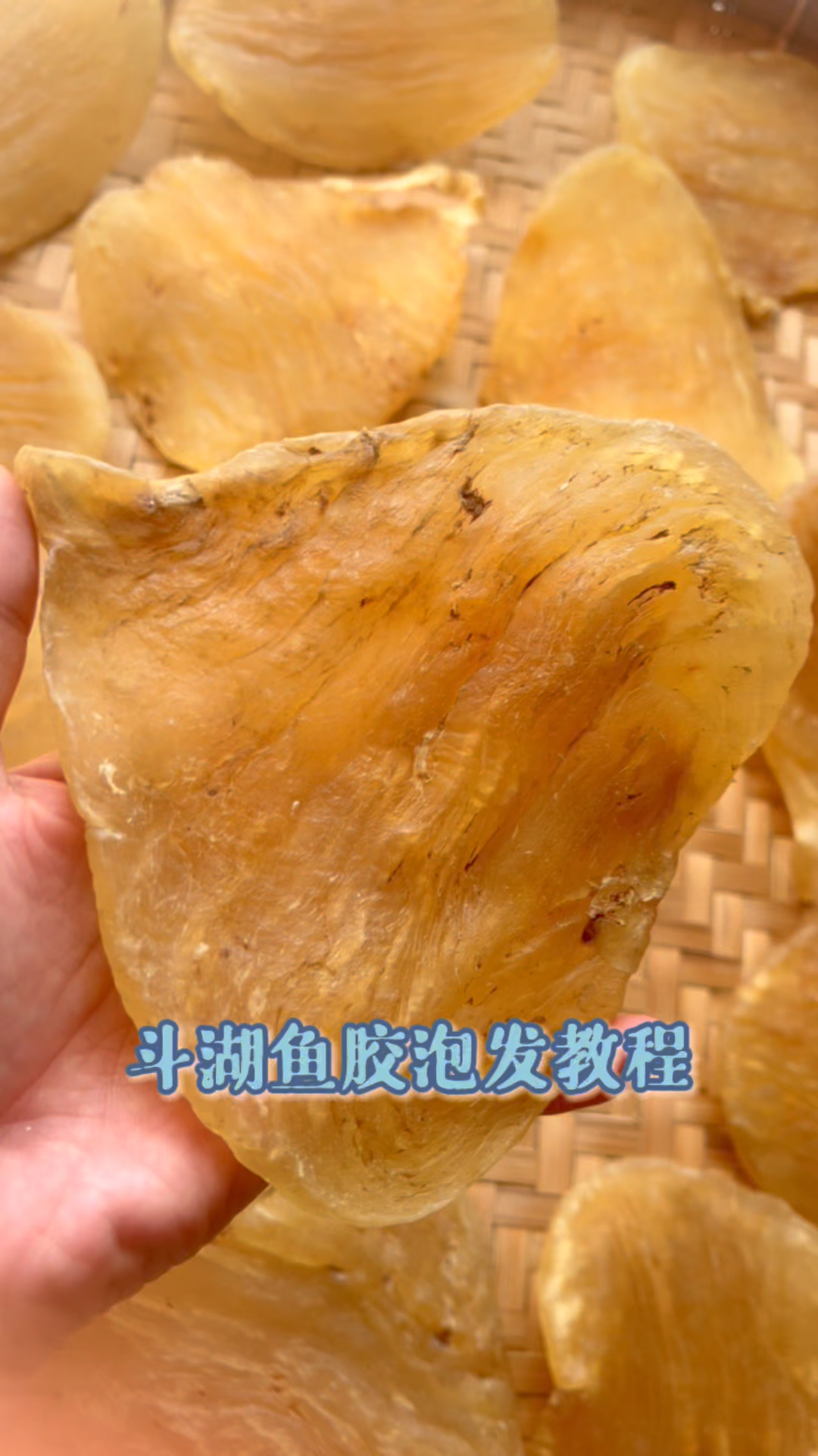 斗湖鱼胶泡发方法