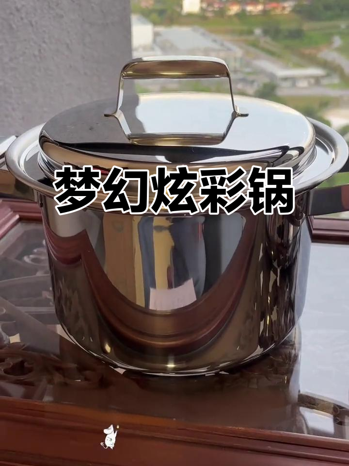 特百惠炫彩锅，颜值与实用并存，5升3升可选！