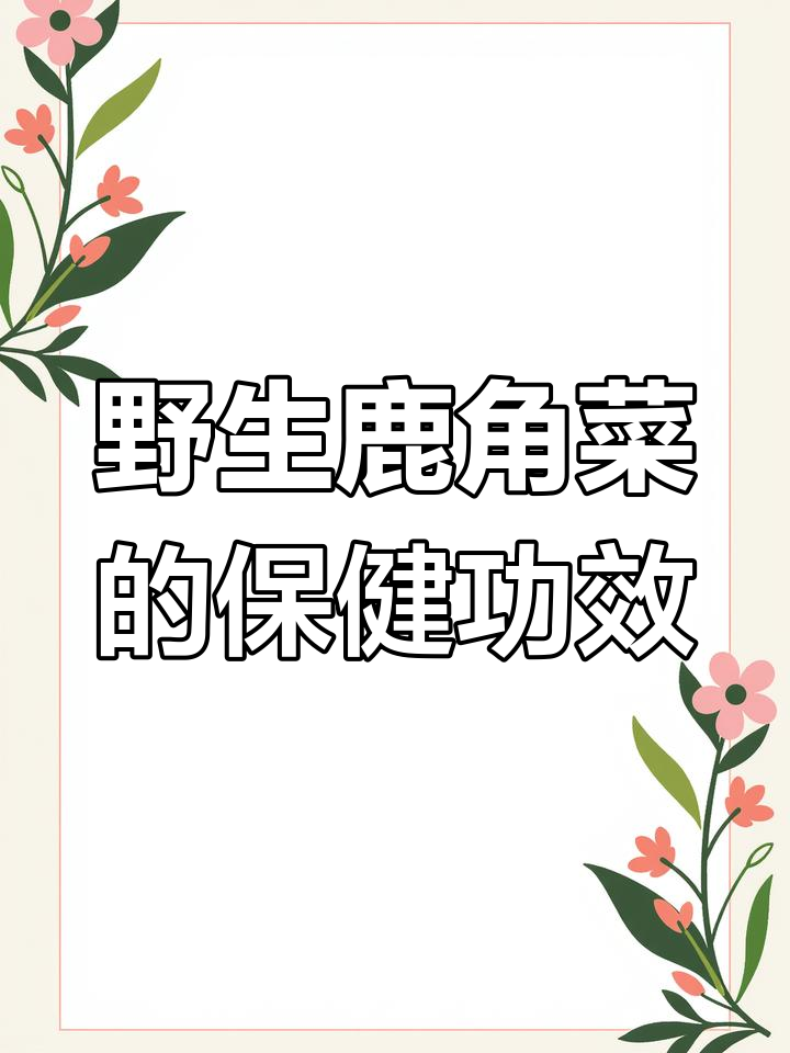 鹿角菜:天然海藻,营养丰富,女性必吃健康美味