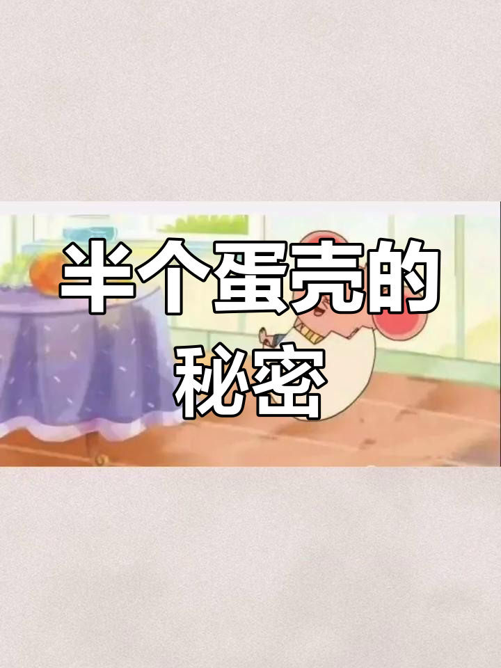 半个蛋壳背后隐藏着怎样的奇妙故事?一起来揭晓吧!