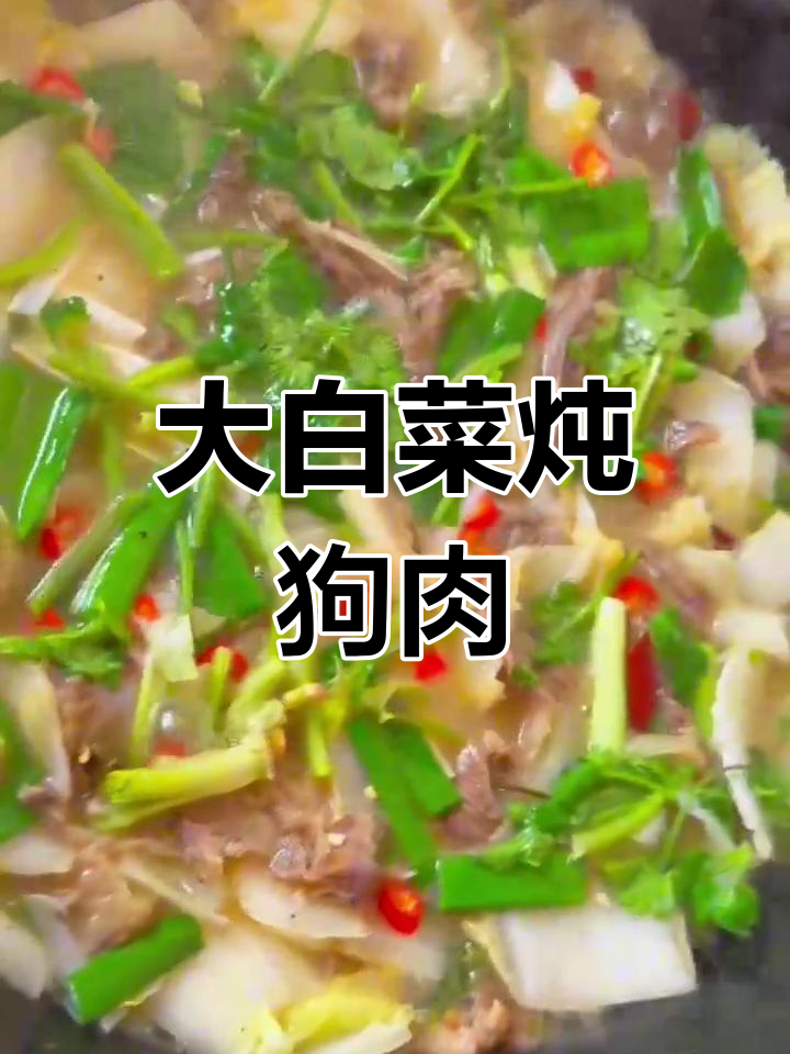 冬季必备大白菜烧狗肉,热腾腾的暖心美味