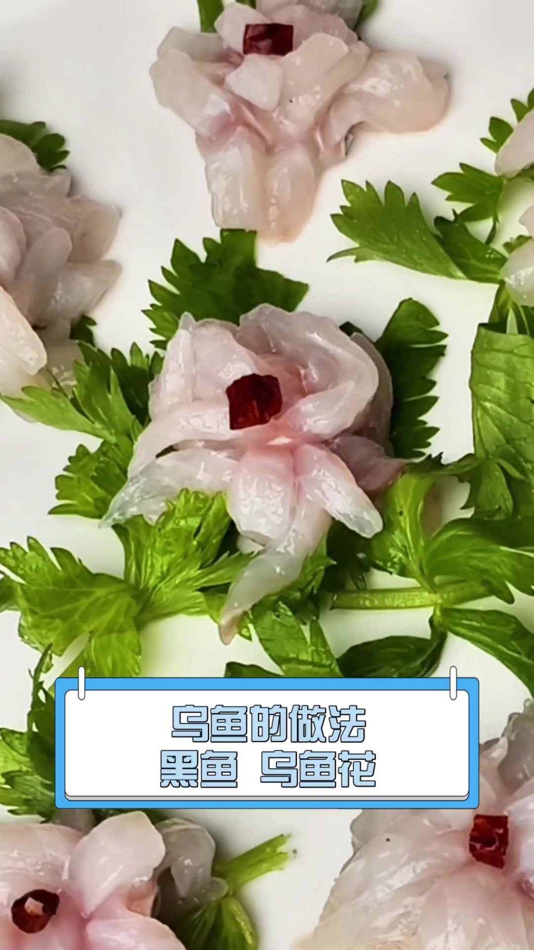 乌鱼的做法黑鱼乌鱼花