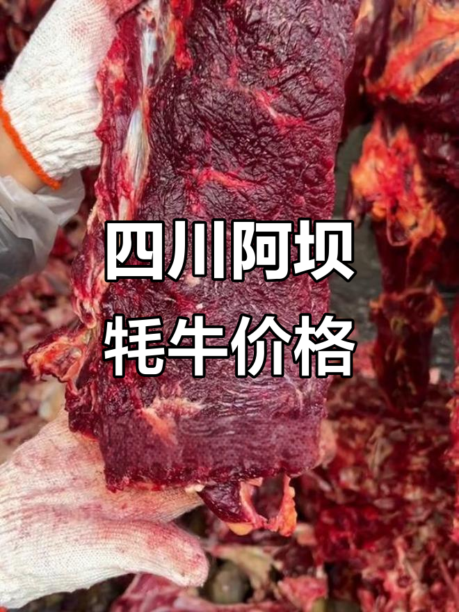 12月17日阿坝山货市场牦牛肉报价,腊肠新鲜出炉!